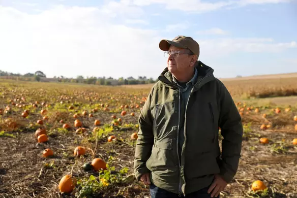 How a Small Family Farm Grew into One of the Country’s Largest Fall Festivals