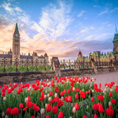 How to Get an Ottawa Business Licence