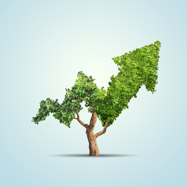 The Rise of ESG: Where It Is Now and How It Got Here