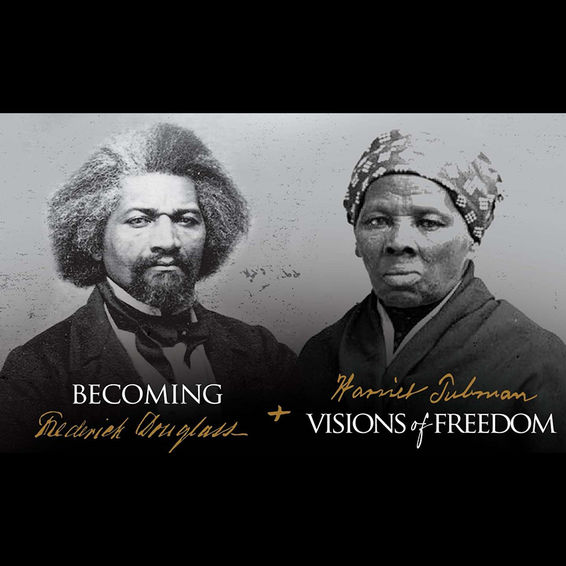 Freedom Fighters: History Inspired by Visionary Icons