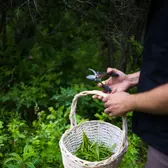 Square Seller Chef Darren MacLean: Sustainability isn’t just the right thing to do: It’s good business sense