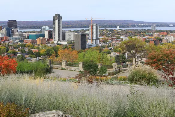 How to Get a Hamilton Business Licence