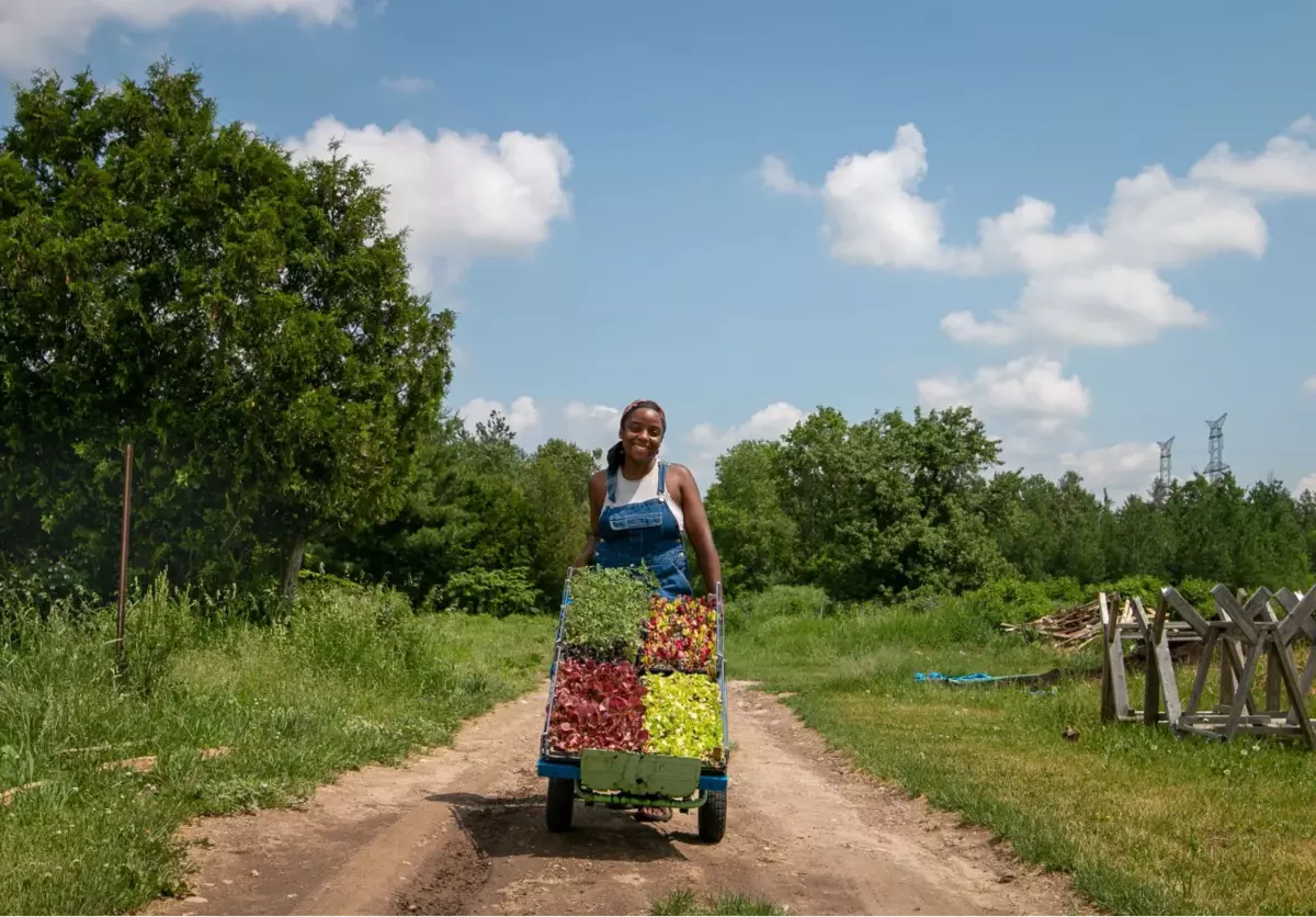 How Lucky Bug Farm Grows Food with a Focus on Equity and Sustainability ...