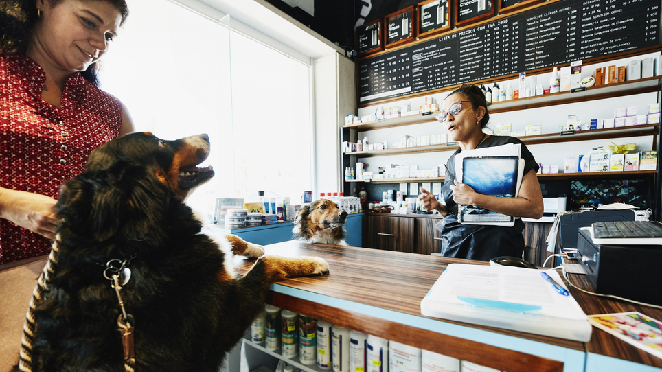 How Small Businesses Can Boost Sales