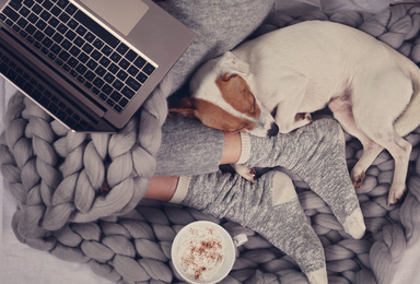 7 Snow Day Movies to Watch While You’re Stuck Inside