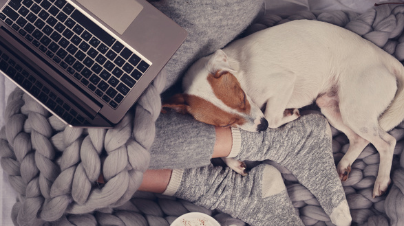 7 Snow Day Movies to Watch While You’re Stuck Inside