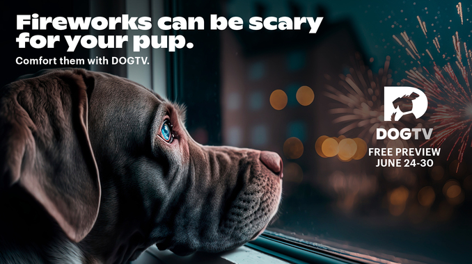 DOGTV FREE PREVIEW ON US!