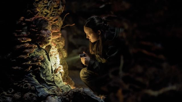 alt="Ellie encountering airborne cordyceps.jpg"