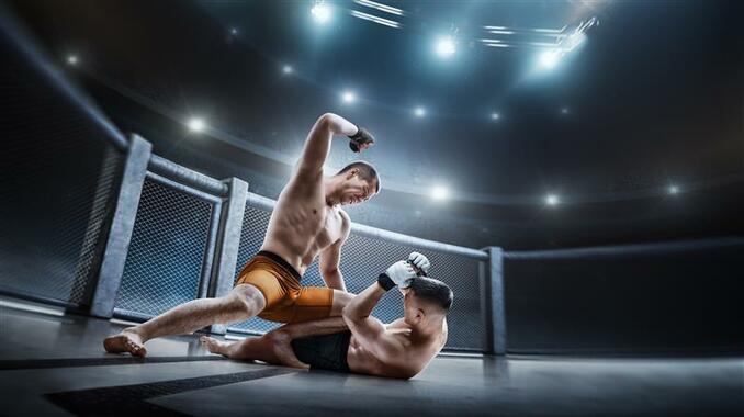 Combat Sports: Your Ultimate Watch Guide