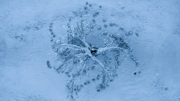 Westeros Revisited: The Door