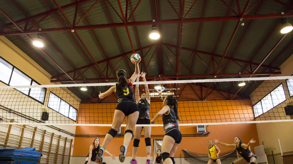 Serve up Win after Win with NCAA Women’s Volleyball