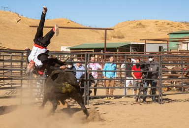 Celebrating the joy of being back together with your best friends, the original jackass crew returns