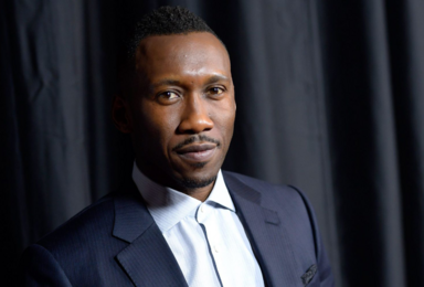 7 Top Mahershala Ali Performances in Movies & TV Shows
