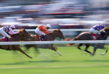 Preakness Stakes 2026: Results, How to Watch & More