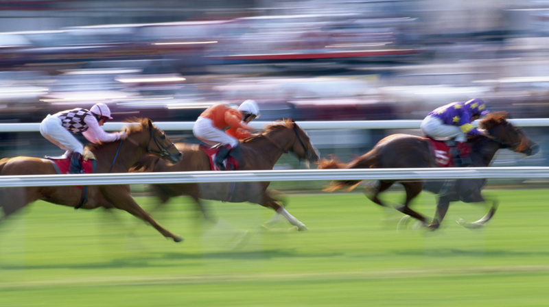 Preakness Stakes 2025: TV Schedule, How to Watch & More