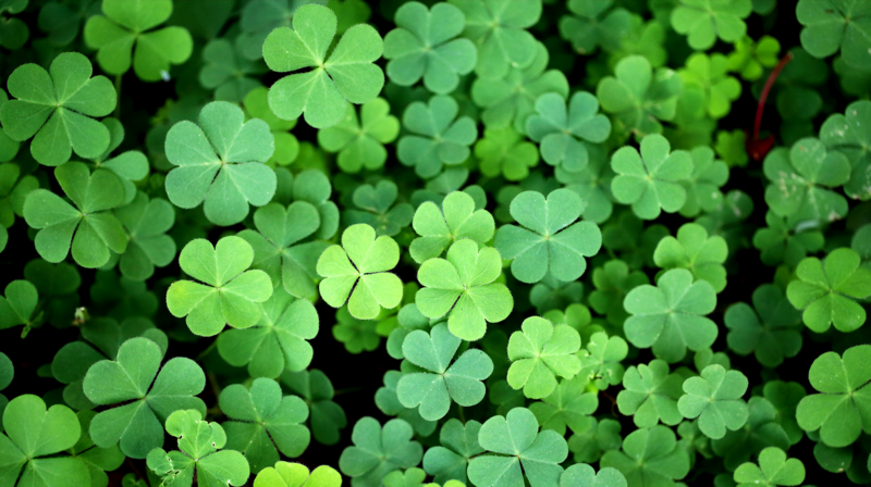 From Dublin to Your Living Room: A St. Patrick’s Day Watch-Party Extravaganza