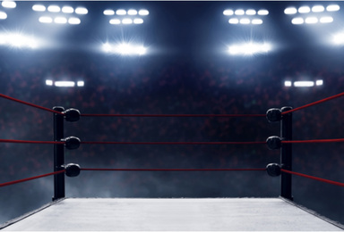 How to Watch WWE Royal Rumble 2025 Live