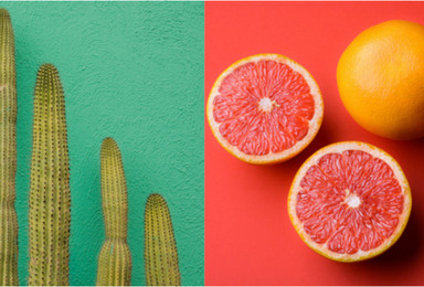 Your Guide to MLB Spring Training 2026: How to Watch & More