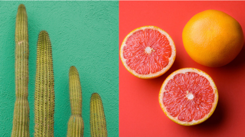 Your Guide to MLB Spring Training 2026: How to Watch & More